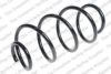LESJ?FORS 4095110 Coil Spring